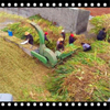 Straw Cutting & Bagging Machine 